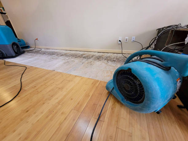 Professional Water Extraction technician working in Glencoe, MN